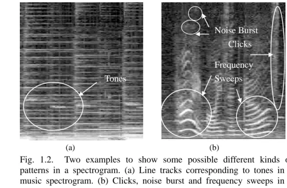 Fig. 1.2.  Two examples to show some possible different kinds of  patterns in a spectrogram