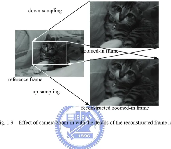 Fig. 1.9    Effect of camera zoom-in with the details of the reconstructed frame lost