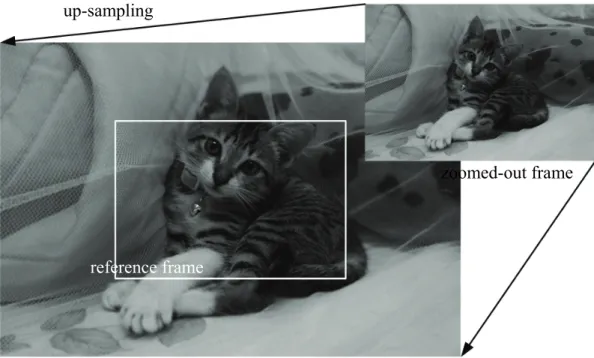 Fig. 1.10    Effect of camera zoom-out with the sprite blurred. 