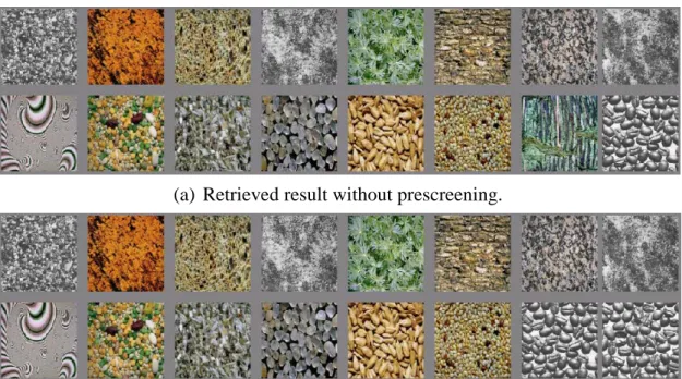Fig. 9. A texture retrieval example given an irregular query image. 