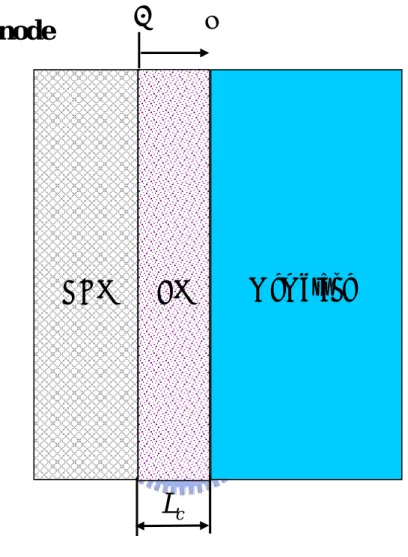 圖 2- 3    物理模型示意圖 z Lc MembraneCLGDLAnode 0 