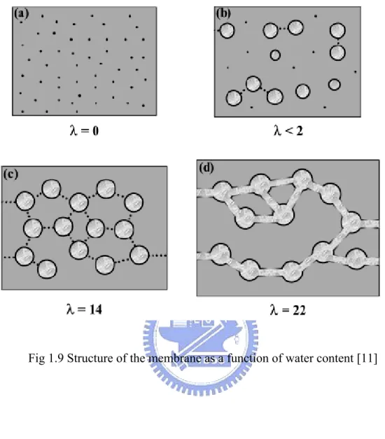 Fig 1.9 Structure of the membrane as a function of water content [11]   