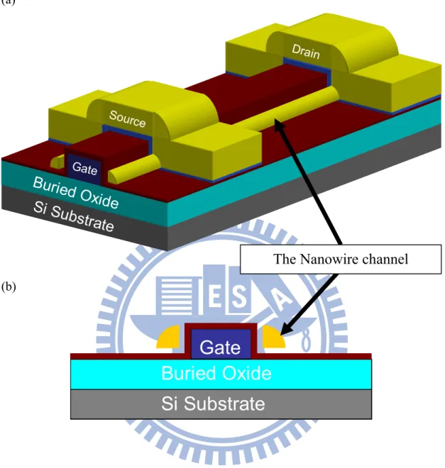 Fig. 2-1(a) Schematic view of the NW device. (b) Cross-sectional view of the NW  channels and the gate
