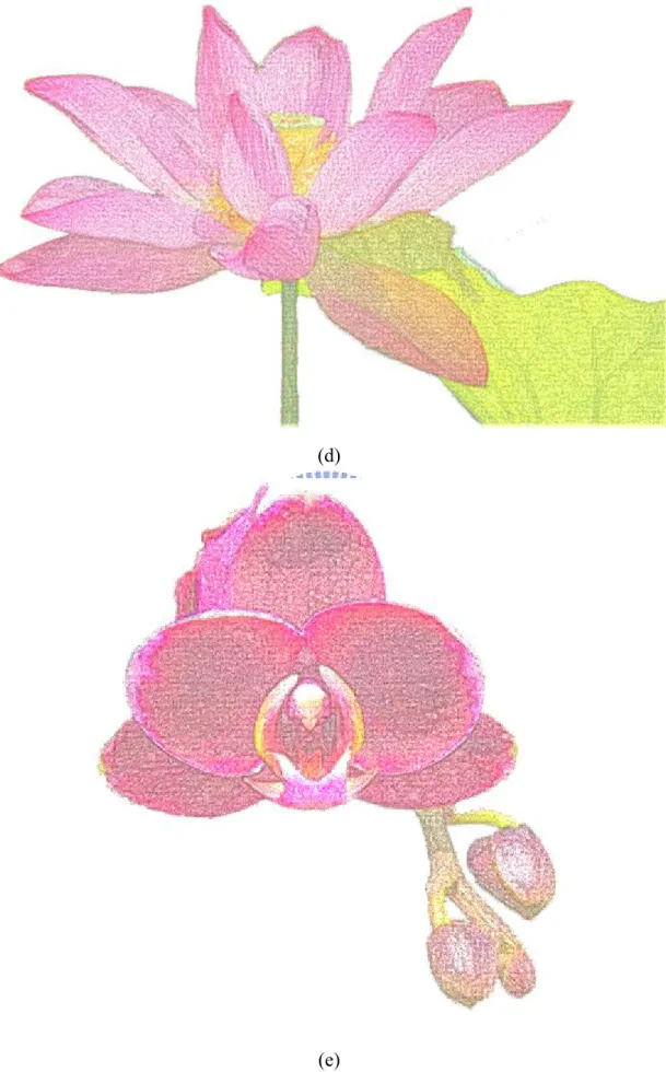 Figure 12 The rendered results. 