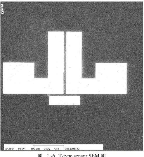 圖  三-6  T-type sensor SEM 圖 