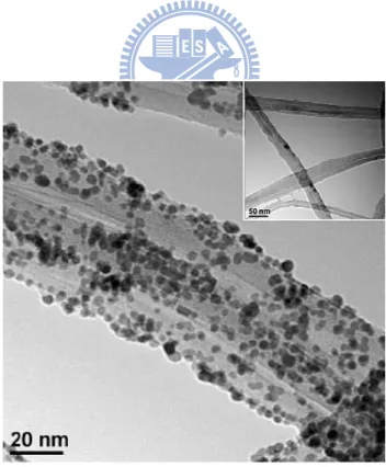Figure 2.6 Typical TEM image of the CNT/PyPBI/Pt. Pt nanoparticles are loaded 