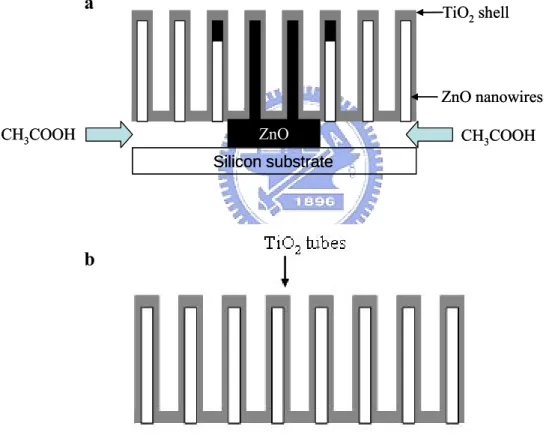Figure 2-3.TiO 2  nanotubes was fabricated by wet-etching (a) 30 min (b) 60  min. 
