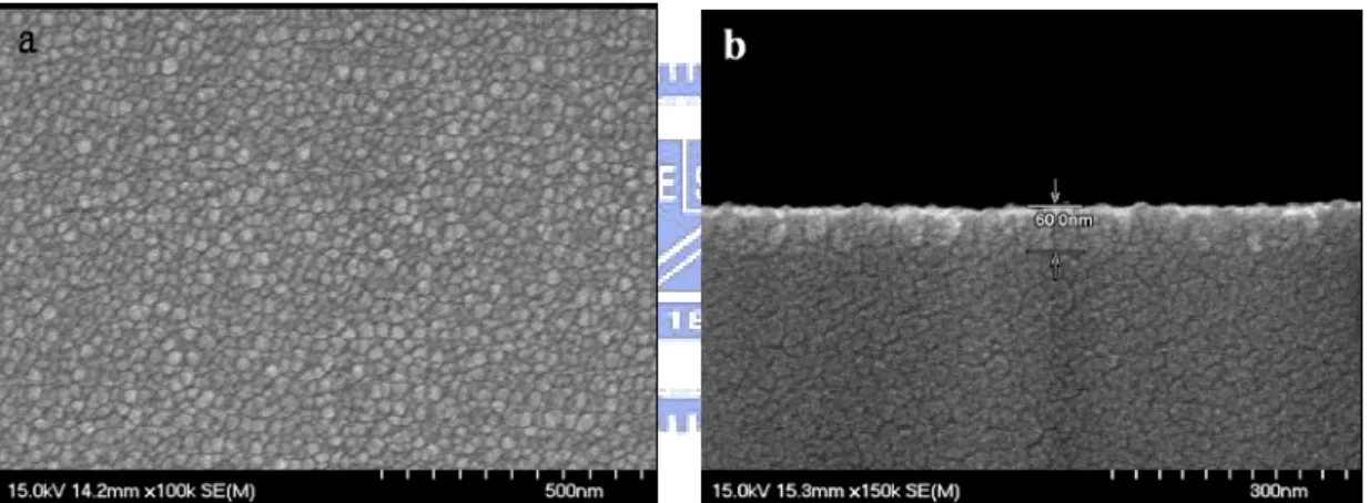 Figure 3-2. The SEM image of ZnO seeding layer on the Si substrate. (a) Top  view (b) cross section