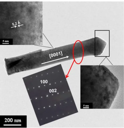Figure  2.8  TEM  image  of  the  single  ZnO  nanorod  after  plasma  etching,  the 