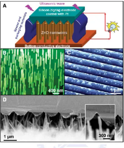 Figure 2.7 Schematic diagram showing the design and structure of the nanogenerator. [30] 
