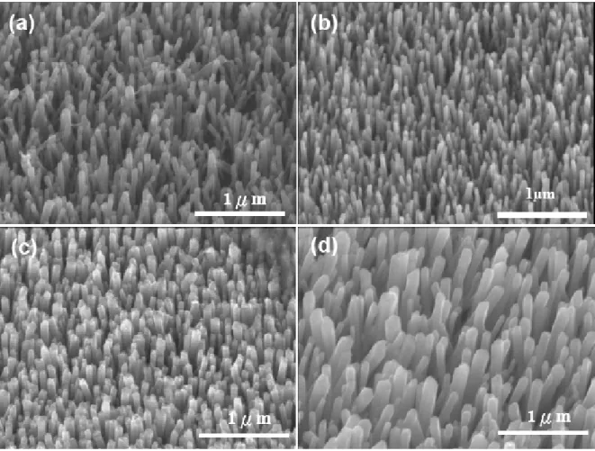 Fig. 4.3 SEM image of the ZNs synthesized at (a) 55  o C (b) 65  o C (c) 75  o C (d) 85  o C