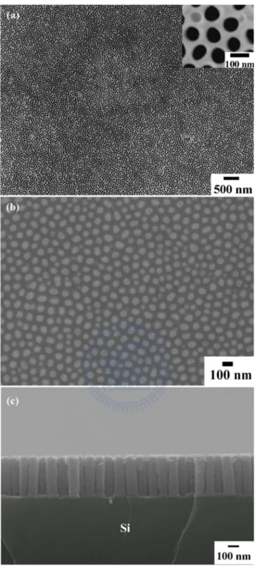 圖 4-1-1 (a) AAO 之平視野 SEM 影像。(b) Ni nanorod arrays 之平視野 SEM 影像。(c) Ni nanorod arrays 之橫截面 SEM 影像。 