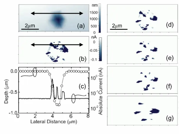 Fig. 4-2 Simultaneous (a) topographic, (b) forward current mapping at -4 V and 0.2  Hz scan rate