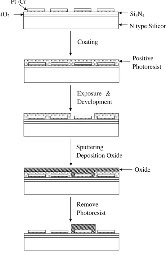 Figure 3.4 Schematic side view of the summarized process flow for the lift-off processes