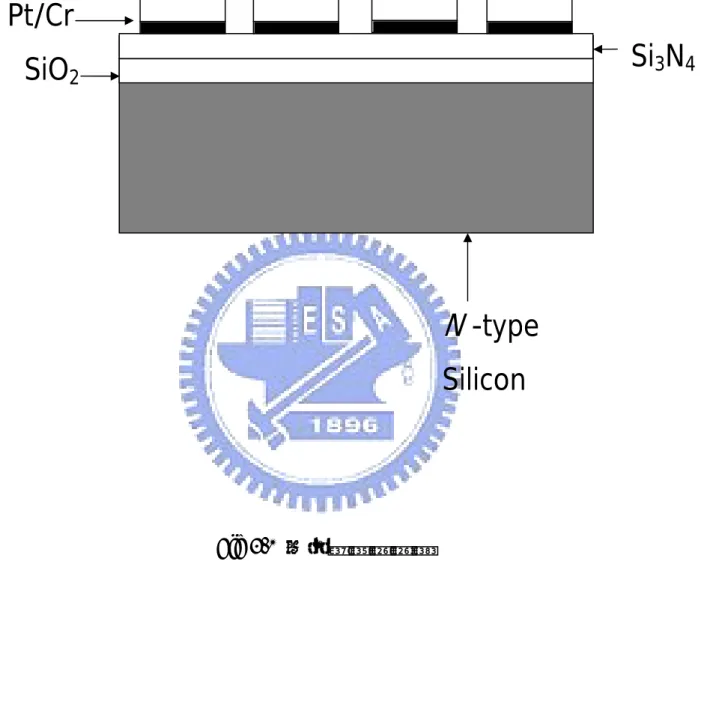 Fig 3.1  白金電極剖面圖 