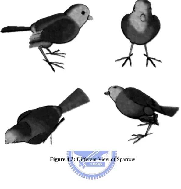 Figure 4.3: Different View of Sparrow 