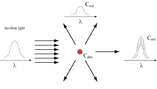 Figure  2.2  Light  scattering,  absorption,  and  extinction  by  a  single  particle,  whose  cross 