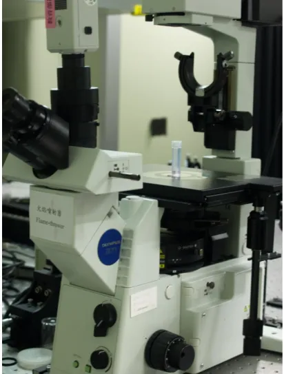 Figure 3.7 A picture of inverted microscope and other accessories. 