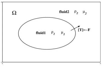 Figure 2.2: The diagram of a bubble in a two-phase interfacial flow.