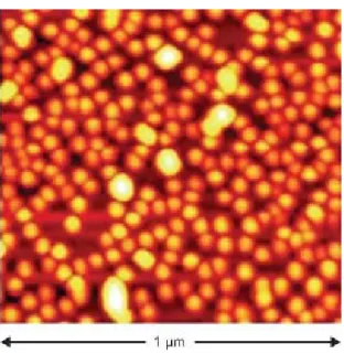 圖 1.4、(a) Si/ SiO2 多層量子井的 TEM 截面圖。(b)Si quantum wire TEM 圖。(c)InGaAs 量子點 AFM 圖。 
