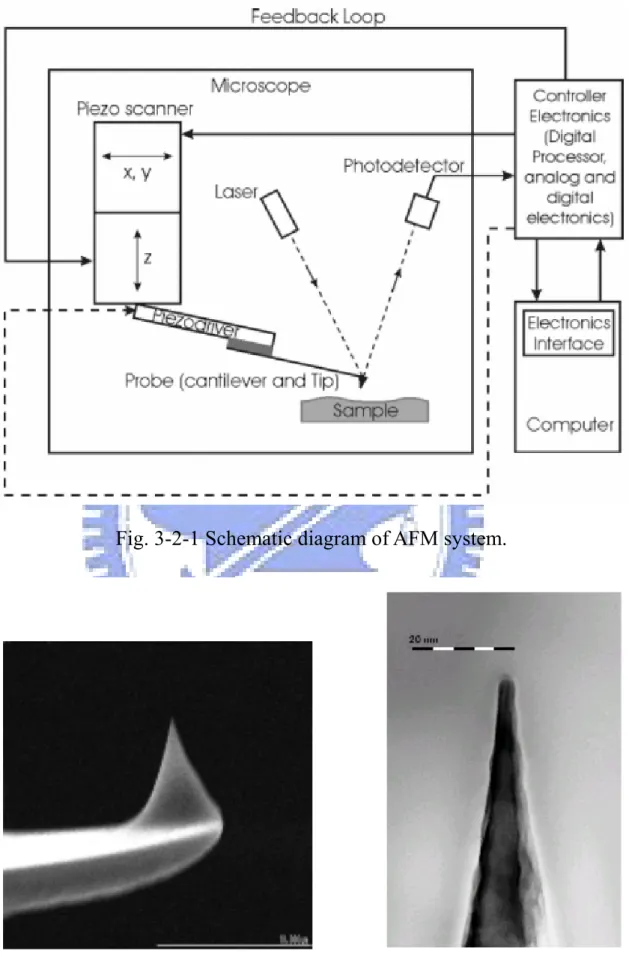Fig. 3-2-1 Schematic diagram of AFM system. 
