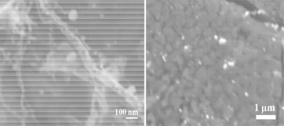 圖 4 nm 的 圖 4 徑 2 -3-3 (a)直徑 4的 ZnCoO 奈米-3-4  上方為直0 nm 的 ZnO 40 nm 的 ZnC米線經過600直徑 40 nm 的奈米線經過 CoO 奈米線經 0  ℃，30 小時的ZnO 奈米線500  ℃，6 小 40 經過 600  ℃， 時高真空退火線經過600  ℃小時高真空退 12 小時高真空火與 6 小時的通℃，6 小時高真退火之SEM 圖 空退火之 SEM通氧退火過程真空退火之SE圖。  M 圖。(b)直徑程之SEM 圖EM 圖。下方徑 100 