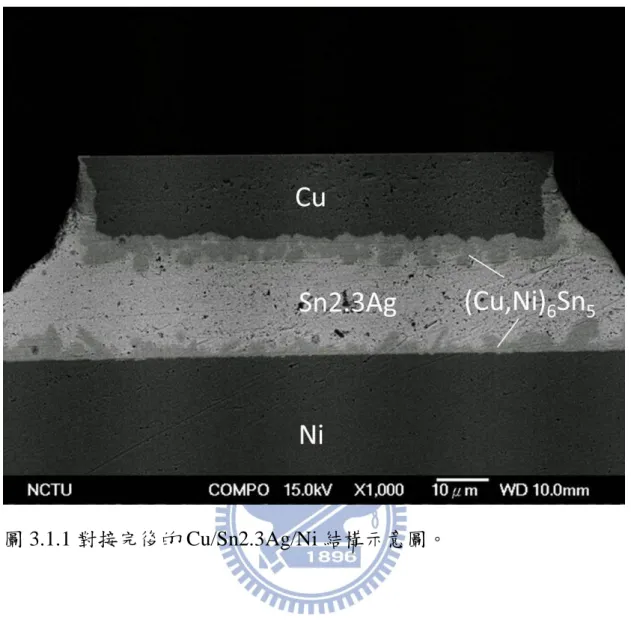 圖 3.1.1 對接完後的 Cu/Sn2.3Ag/Ni 結構示意圖。 