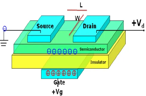 Fig. 2-1 A bottom-gate-top-contact TFT structure. 