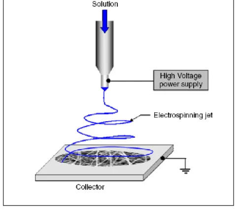 圖 2-10 放電紡絲(electrospinning)的基本架構，由溶液、power supply 和 Collector 組成。  如圖 2-9 所示，將高分子溶液或熔融體充填入玻璃量管（Pipette）內，一邊連 接喂入注射器（Syringe），而計量泵浦（Metering Pump）連結注射器之活塞 （Plunger），使之產生固定的壓力與流量。噴射驅動力來自高壓電源，其一端 線浸沉於流體中，而高壓電源可提昇至 30kV，且可變換正或負極之裝置。若調 整流量與電場強度大小，則可控制紡絲條件。  如圖