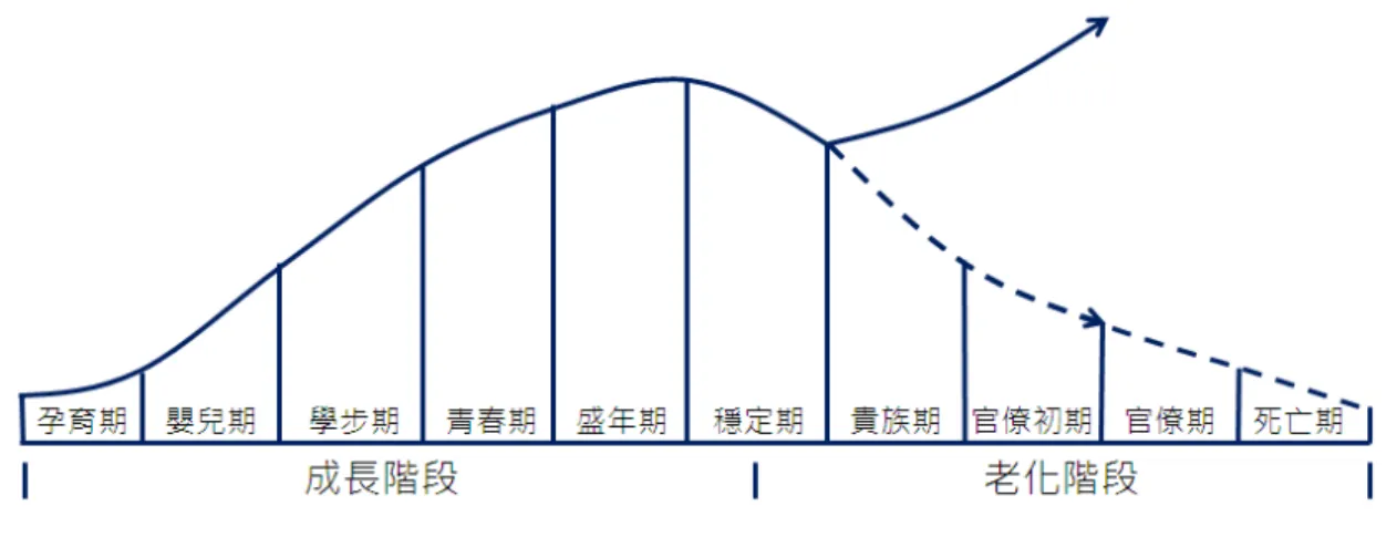 圖 7 Ichak Adizes 企業生命週期的十個階段  孕育期：這個時候企業尚未出生，此時最重要的是創業的構想與該構想的未來性。創 辦人會大力推銷他偉大的創業構想，促成各方必要的承諾與投入，而企業誕 生所需的承諾，與它所冒的風險相當。  嬰兒期：當有人承擔風險後，企業的體質便大幅變動。承擔風險成了現實問題。企業 的注意力從構想與可能性，轉移到生產與結果。而創業者也開始應付日增的 存貨和應收帳款所需的營運資金。  學步期：此時期公司不再缺現金，業績開始迅速成長，不再是處於嬰兒階段而是欣欣 向榮，重要的客戶