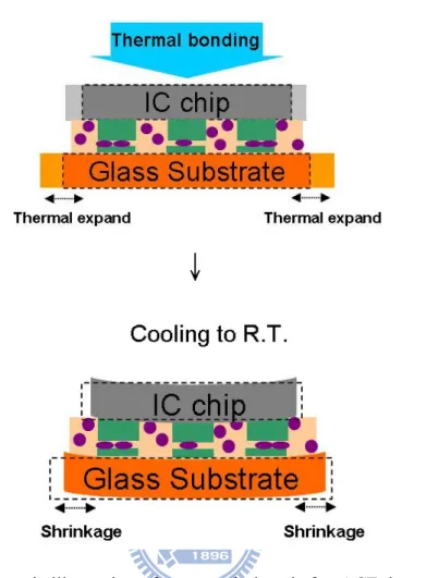 Figure 1.1 Schematic illustration of warpage induced after ACF thermal bonding 