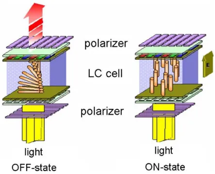 Figure 2.9 Schematic illustration of the operation principle in twisted nematic (TN)  cell [19] 