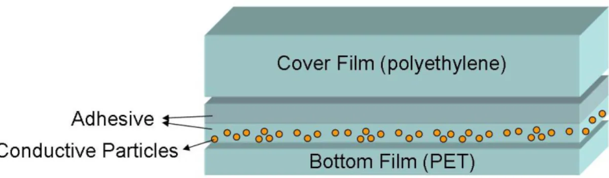 Figure 2.5 Schematic illustration of ACF structure 