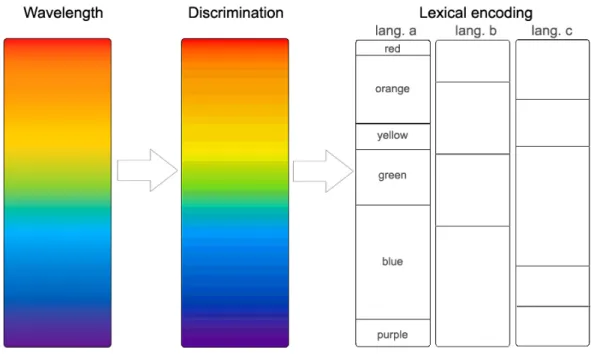 Figure 2-1. Color encoding levels from stimuli and discrimination to lexical encoding