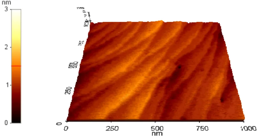 圖 3-4 Rq(rms)= 0.14nm 的 GaN/sapphire 1umX1um cm -2  AFM 俯視圖  