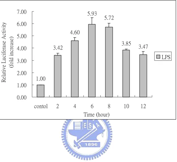 Fig. 1.    Time response of LPS from Escherichia coli strain on NF-κB  activity. 