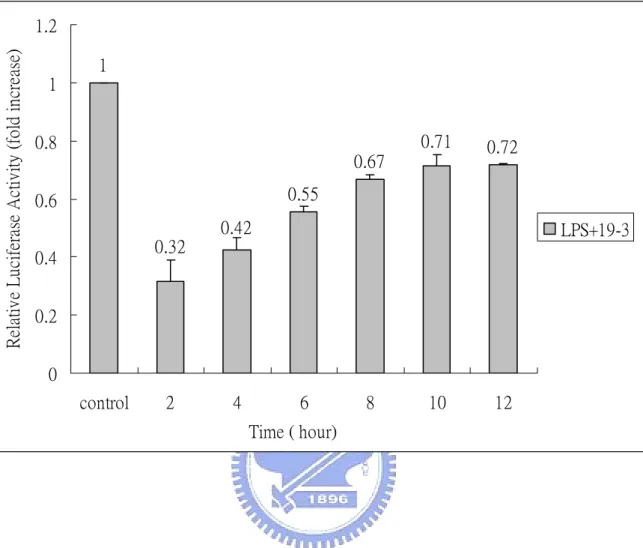 Fig. 5.    Time-dependent effect of 19-3 in LPS-induced NF-κB  activation. 
