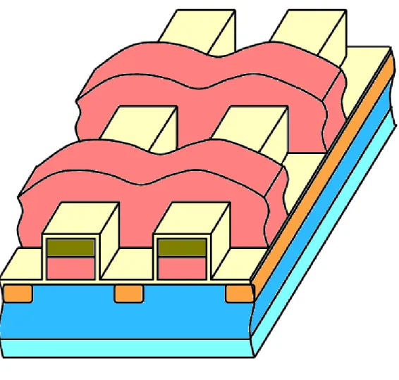 Fig.  2.1  The  schematic  diagram  illustrating  of  forming  the  dual-bit  split-gate  SONOS