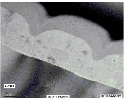 Fig. 2.2 The SEM image (a) and the simulation structure (b) of the dual-bit split-gate 