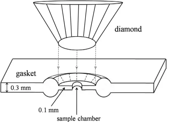 FIG. 2.2.    Section of gasket indentation area and the sample chamber. 