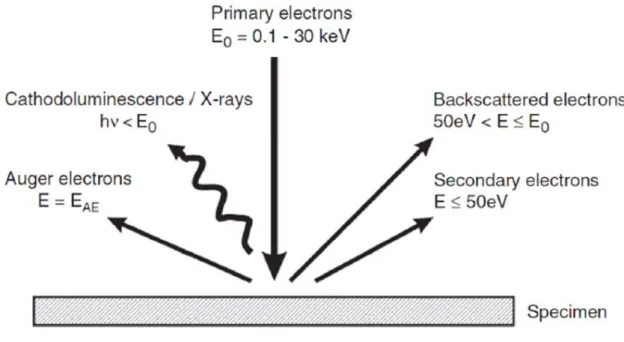 Figure 2-2  Schematic drawing indicates characteristic signal generated by  interaction of primary electron beam and specimen