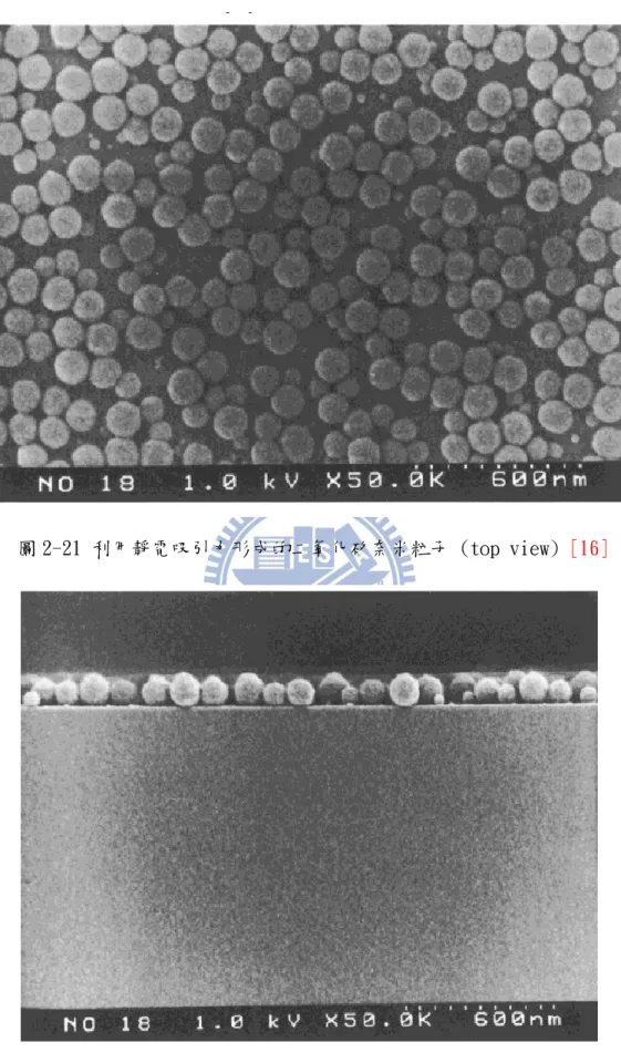 圖 2-21 利用靜電吸引力形成的二氧化矽奈米粒子 (top view) [16] 