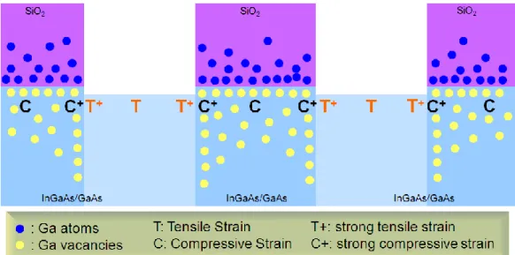 Fig.  2.3  Schematic  cross-sectional  view  of       distribution  obeying the strain profile 