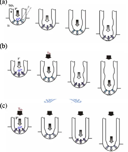 Figure 2.7 Schematic diagram of the formation of tube spatial periodicity under  different conditions: (a) without stirring, (b) at medium stirring rate, and (c)  at high stirring rate [57]
