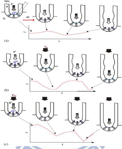 Figure 2.9 Schematic diagrams of the oscillation mechanism: formation of tube spatial  periodicity  and  corresponding  current  behavior  under  different  conditions:  (a)  without  stirring; (b) at medium stirring rate; (c) at high stirring rate or with