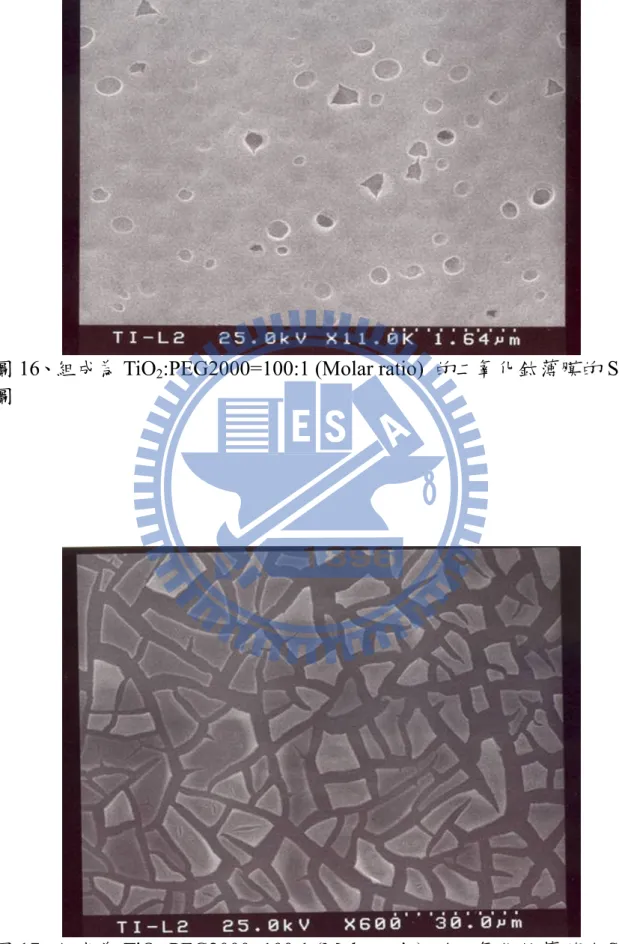 圖 17 、組成為 TiO 2 :PEG2000=100:1 (Molar ratio)  的二氧化鈦薄膜的 SEM 圖