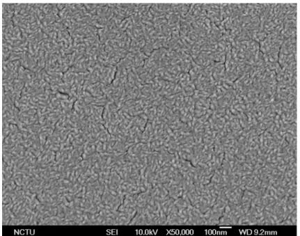 圖 3.6  試片(50nm Fe/diamond/Si)反應前 SEM 表面形貌  圖 3.7  沉積鑽石後試片表面形態分佈示意圖 2.04.06.0 8.0 10.0 (mm) 4.0 2.0 6.0 8.0 10.0 (mm) 試片高度 試 片 長 度 
