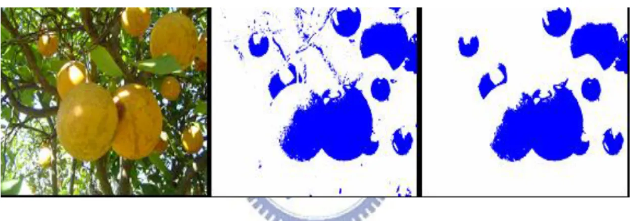 Fig. 2-6 Color segmentation. Left: Sample color image . Middle: Color  segmentation image