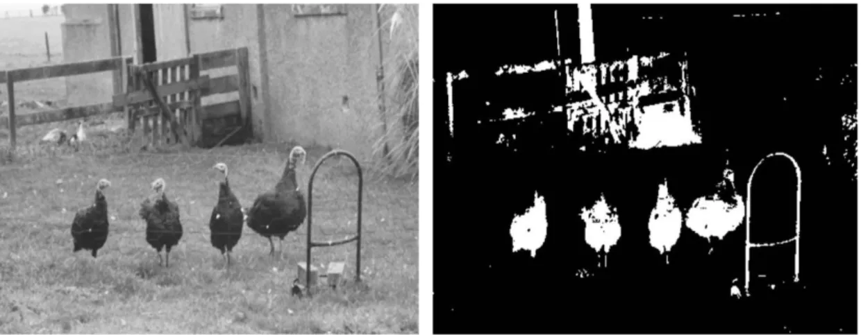 Fig.  2-8  Connected  component  algorithm.  Left:  original  image.  Right:  processed  image [47]