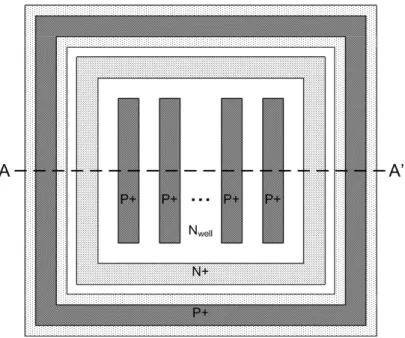 Fig. 3.  Top view and cross section of P+/N well finger photodiode.  Each P+ 